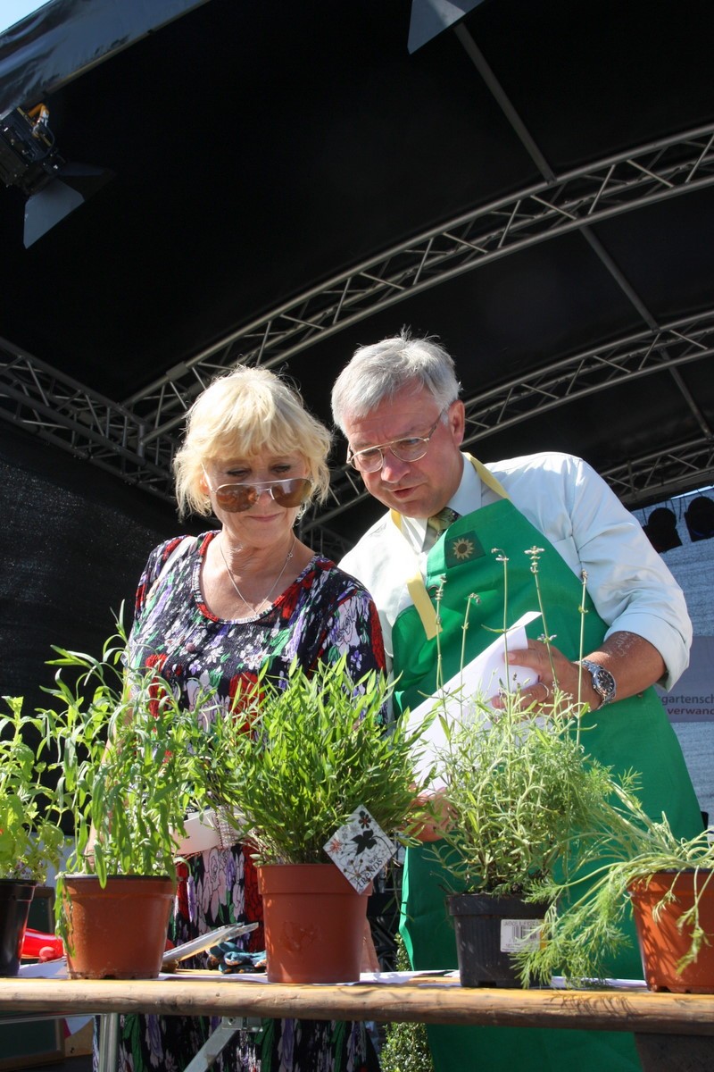 992-tagebuch 992-tagebuch