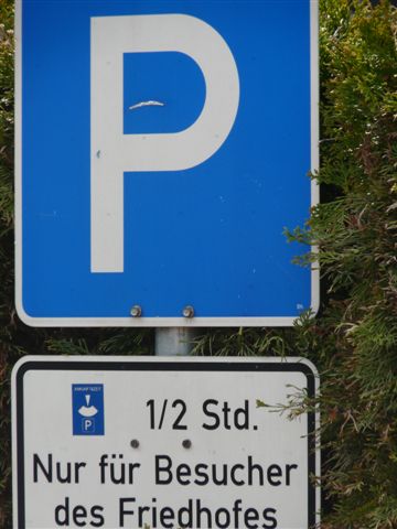 2010-04-12 St. Goar 008WB Paradox II