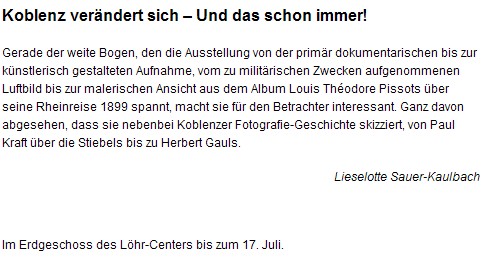 rz online 8.7.2010-ko3