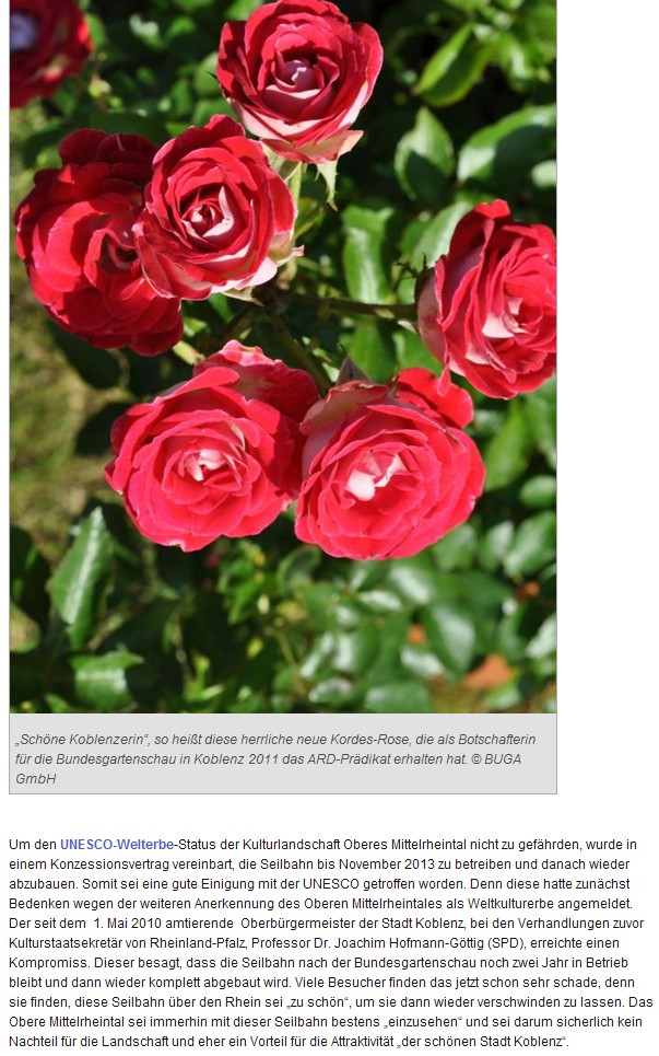 deluxe 10.2.2011, Buga 5