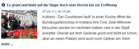 rz online 7.4.2011, Buga 01