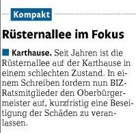 rz 24.8.2012, S. 20 Rüsternallee