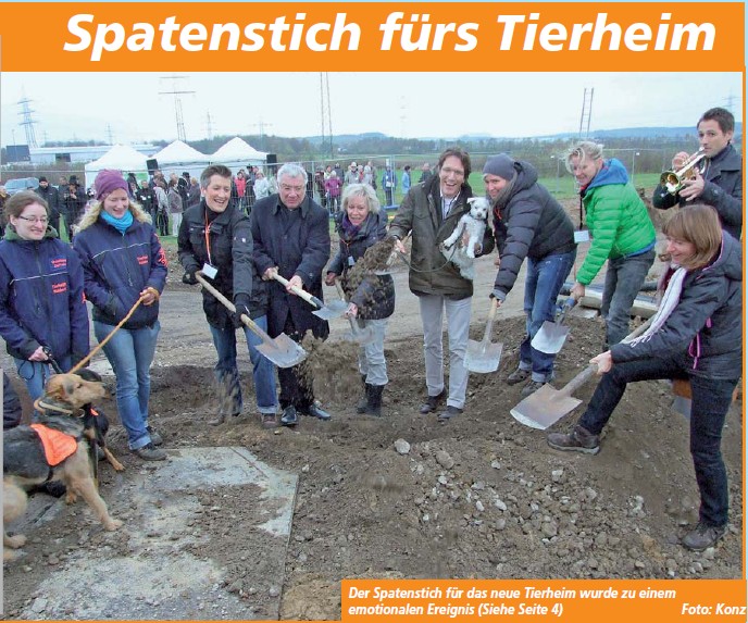 ba 30.11.2013, S. 1 Tierheim
