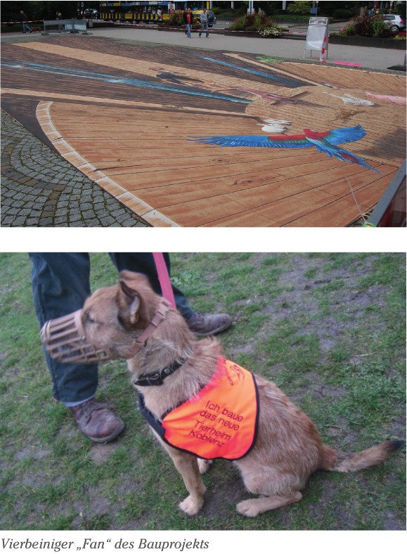 toma Winter 2013 S. 22 Tierheim -1