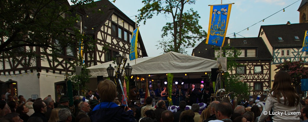 güls 2014 lucky luxem (3)