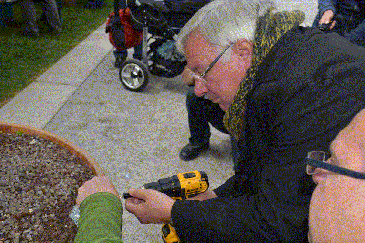JoHo-Schängelsiftung stiftet einen Orangeriebaum für den Schlossgarten