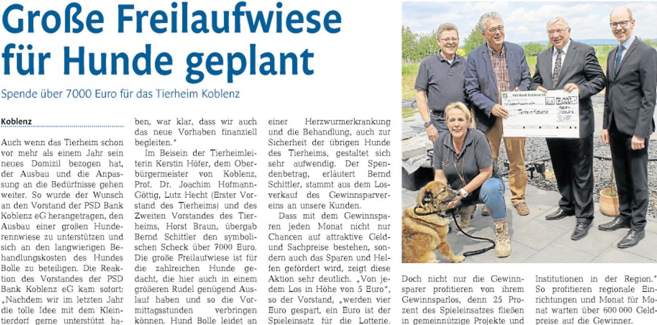 rz 28.5.2016, S. 71 Hundewiese4277d9cfcbf5605c