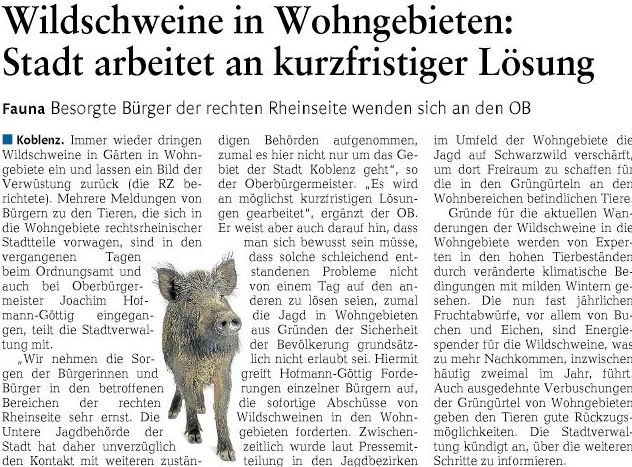rz 25.6.2016, S. 25 Wildschweine218cd636f2a6c62