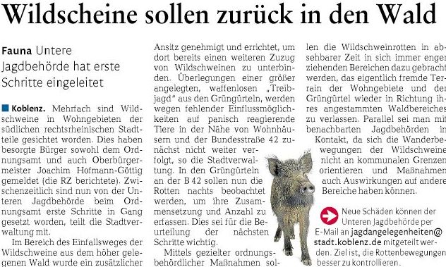 rz 29.6.2016, S.22 Wildschweinebd0c6bb7408e1bd