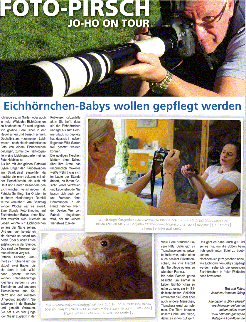 ba 14.7.2016, S. 12 Fotokolumne n