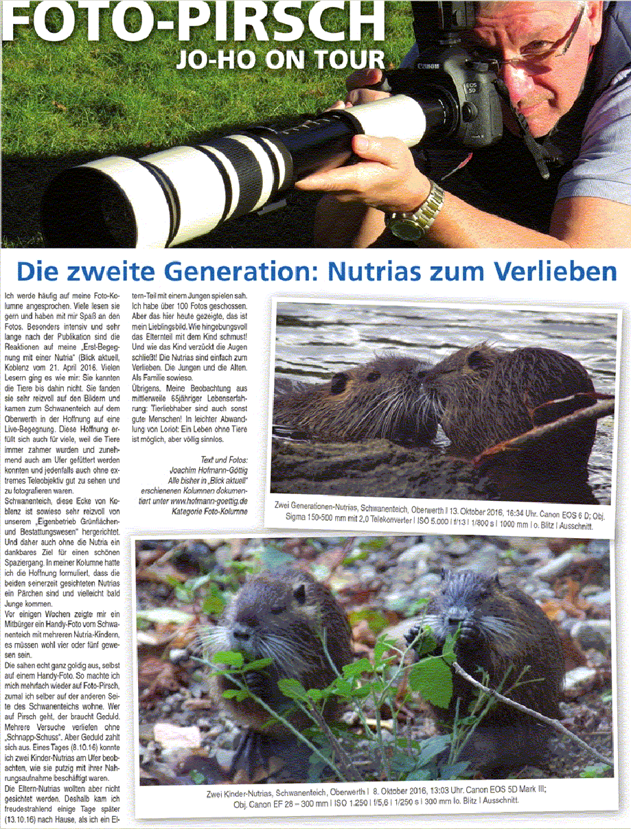 ba-27-10-2016-s-6-n-fotokolumne